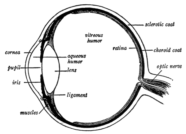 Fig. 79.