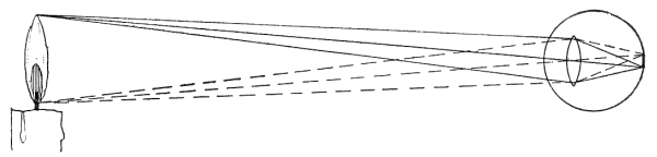 Fig. 80.