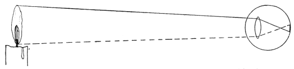 Fig. 81.