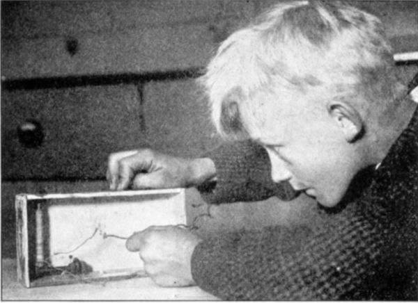 Fig. 139.