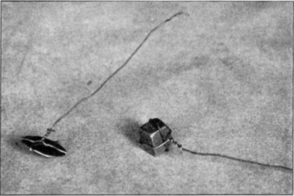 Fig. 176.