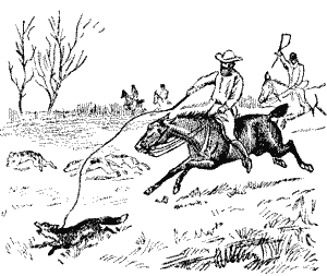 And murdered the Fox
