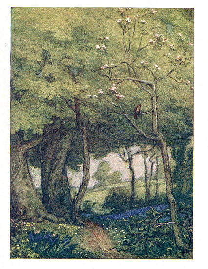THE NIGHTINGALE