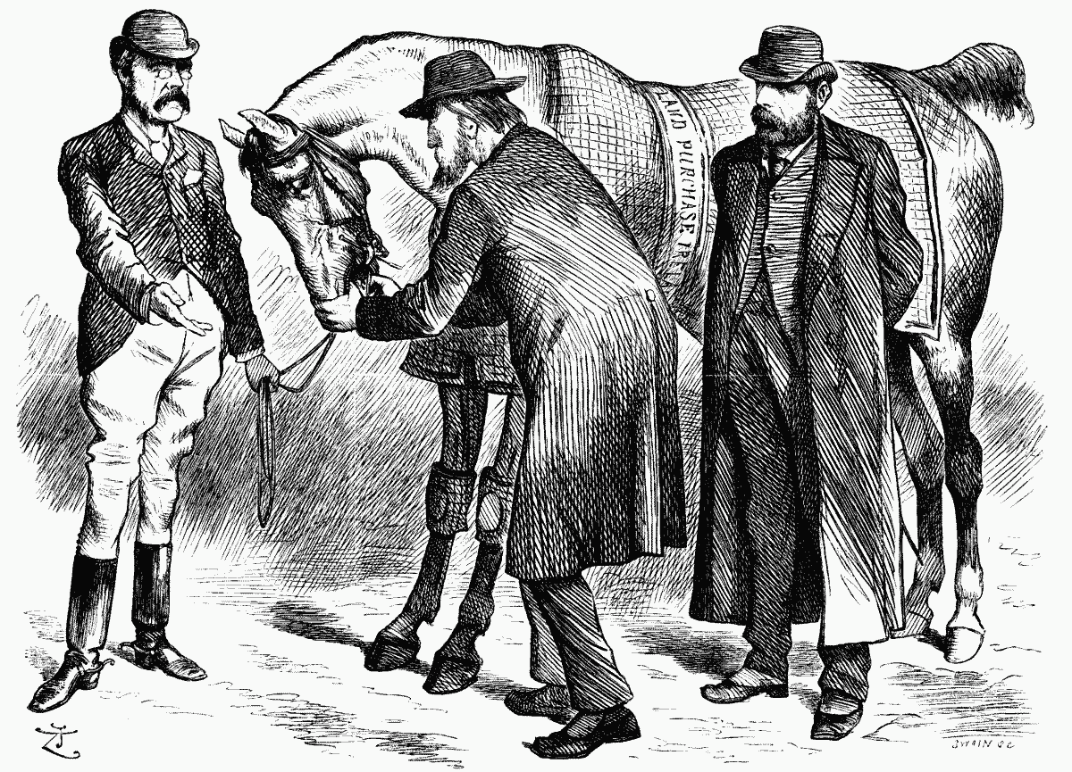 THE GIFT HORSE