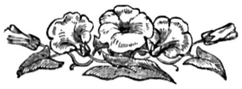 DECORATION