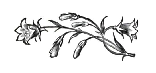 DECORATION
