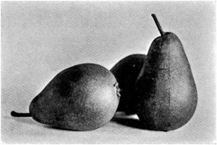 Pear—maréchal De La Cour