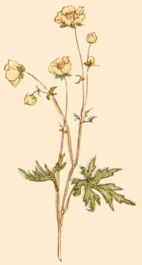image not available