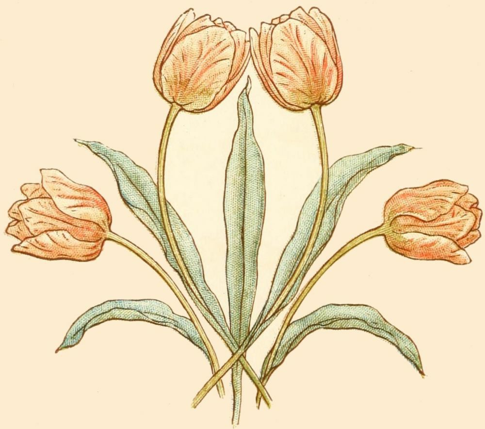 image not available