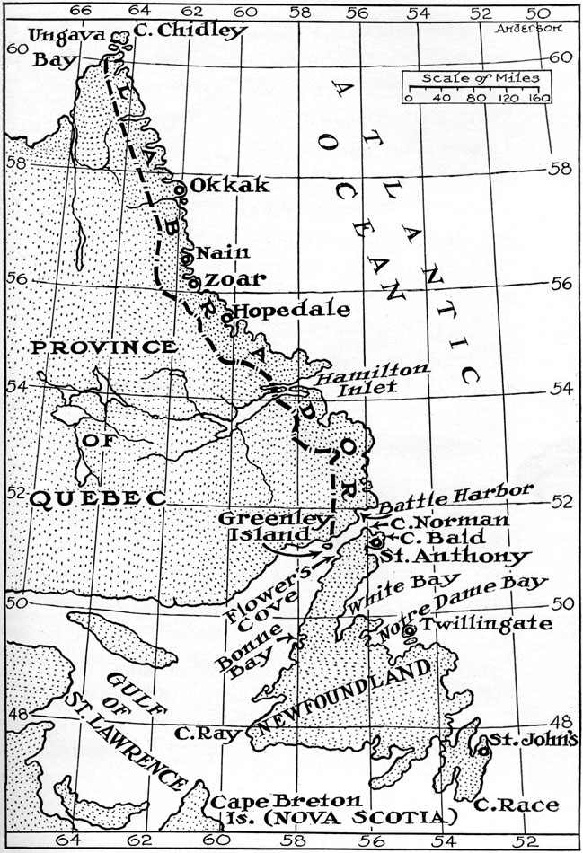 Labrador