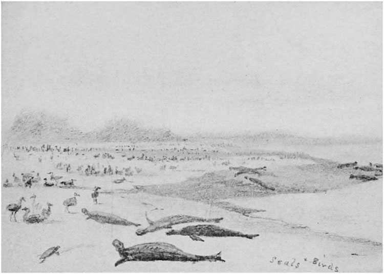 THE LANDING AT MIDWAY ISLANDS