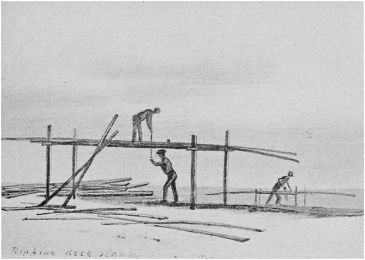 RIPPING TIMBERS FOR THE SCHOONER