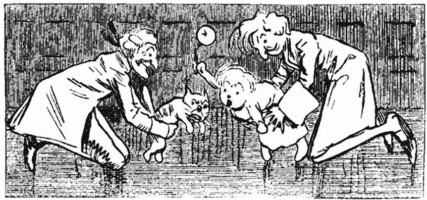 Cat and Child Fight