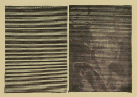 Fig. 61.