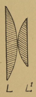 Fig. 76.