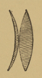 Fig. 70.