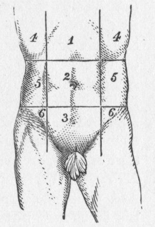Abdominal Regions