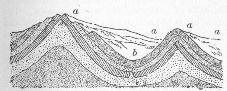 Anticlinal line