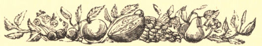 Decoration - fruit