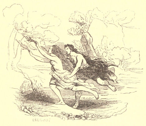 Apollo and Daphne