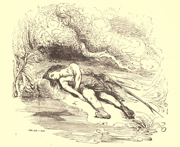 Narcissus
