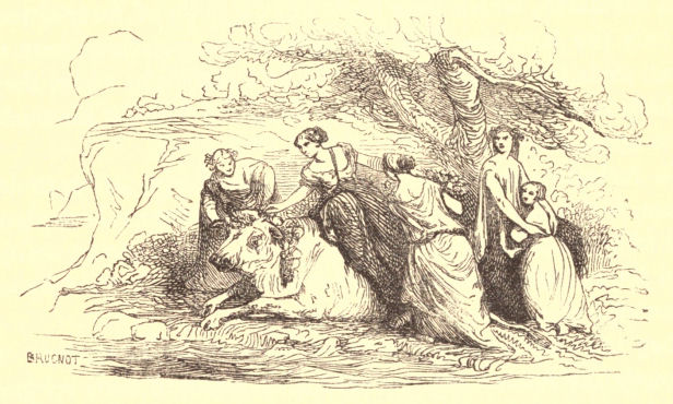 Europa and the bull