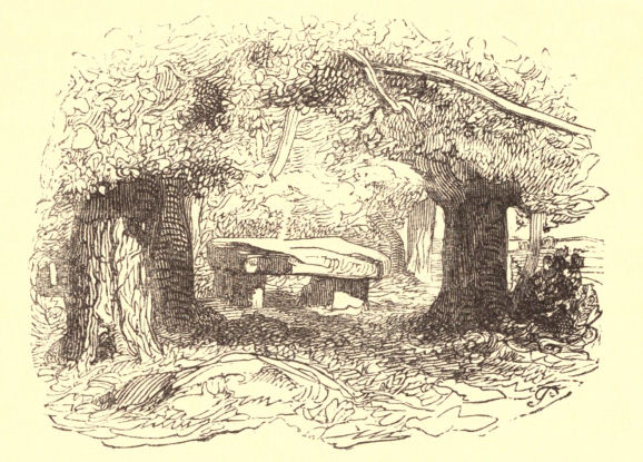 Dolmen in a forest