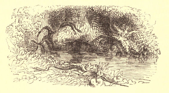 Fountain with serpents