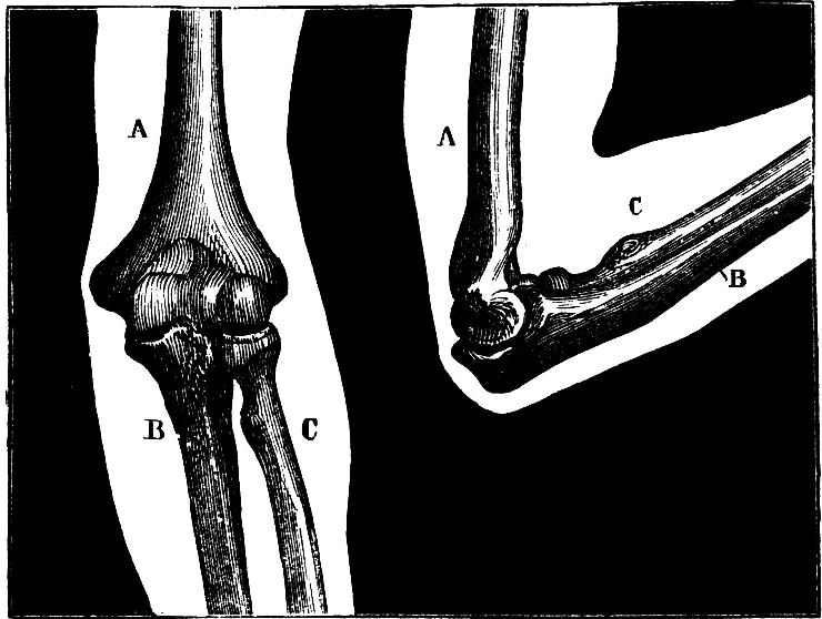 Fig. 5.--Elbow Joint.