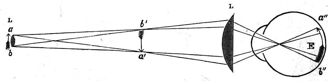 Fig. 59. Compound Microscope.