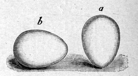Fig. 45