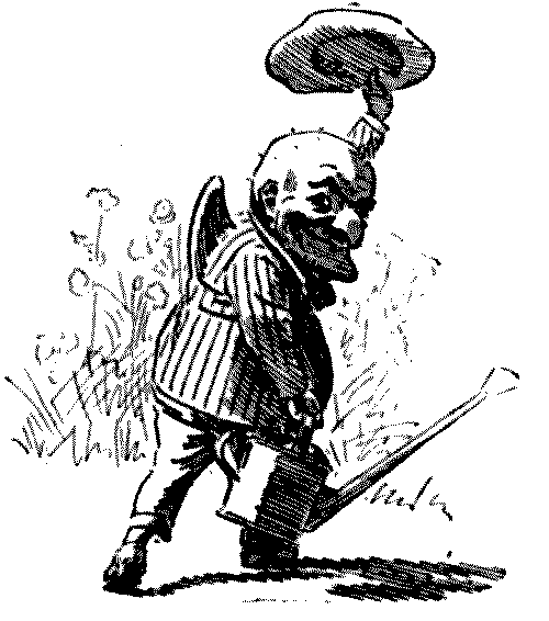 Mr Punch