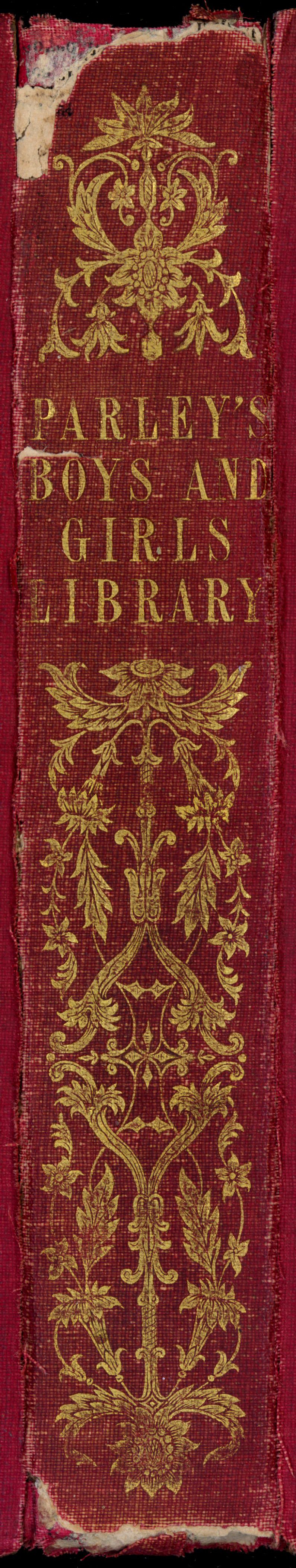 Spine