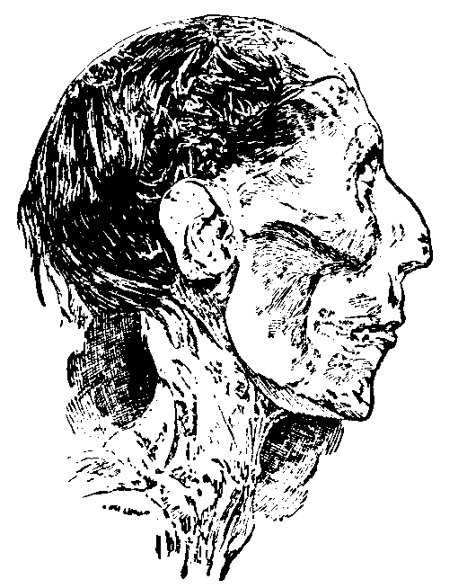 Head of Rameses II