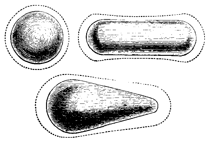 Fig. 3. Distribution of charge