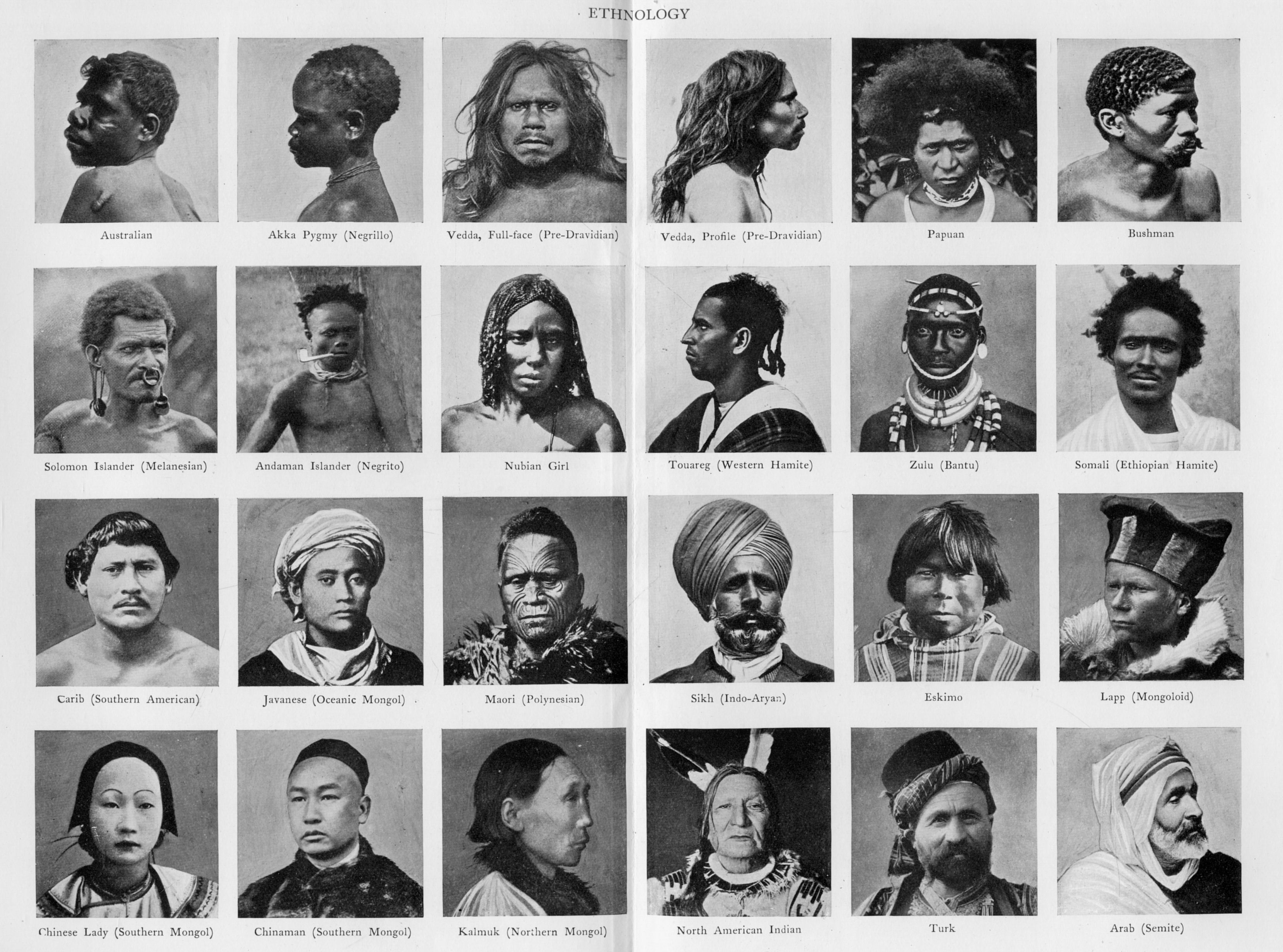 Ethnology