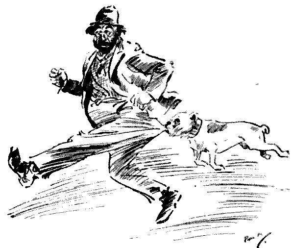 SHAKSPEARE ILLUSTRATED