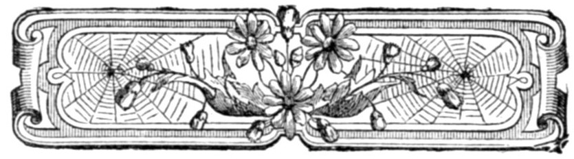 DECORATION