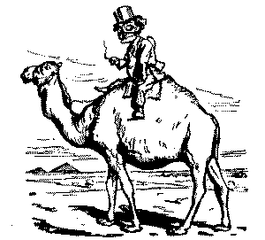Mr. P. on a camel