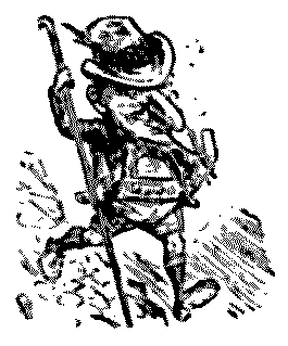 cartoon