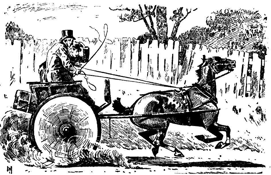 a driving tour