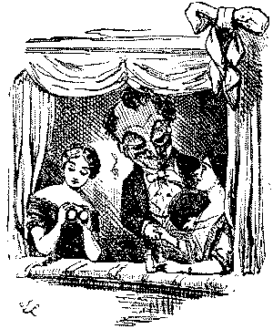 MR. PUNCH'S OPERA BOX