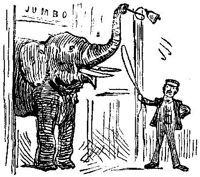 Elephant