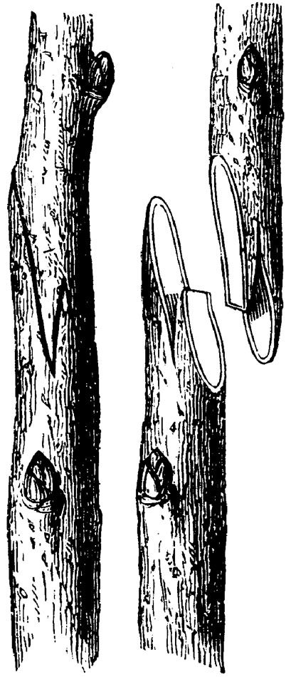 Figure 8.