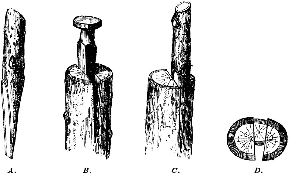 Figure 9.