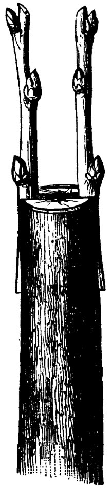 Figure 10.