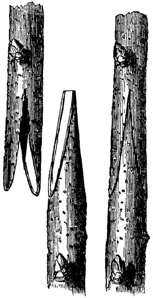Figure 14.