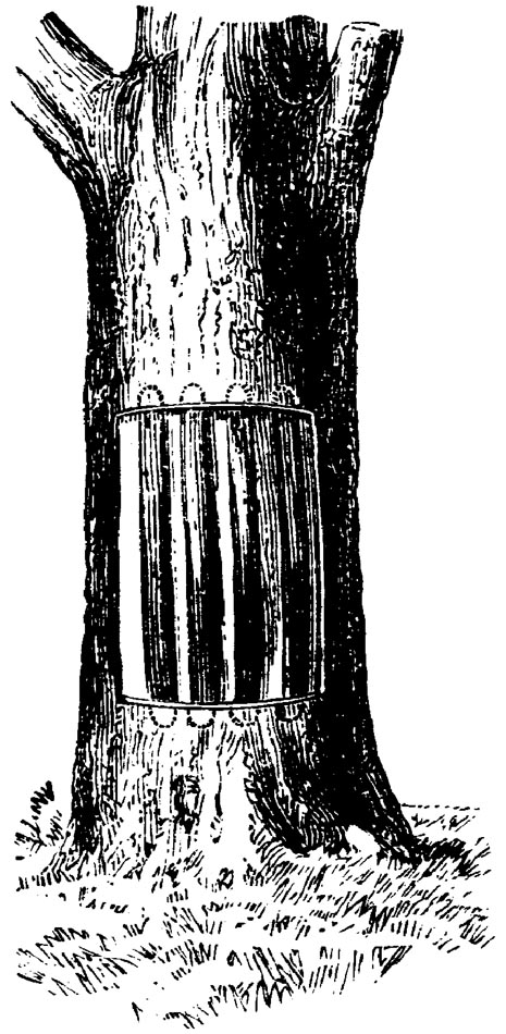 Figure 15.