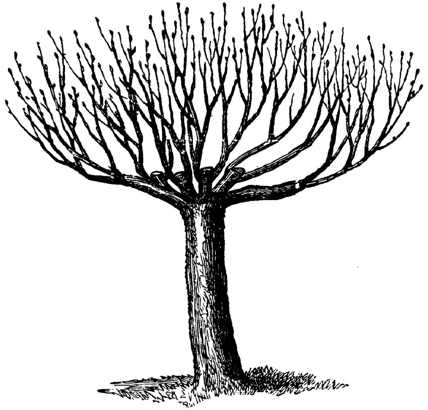 Figure 16.