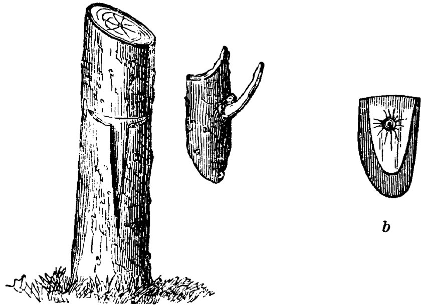 Figure 17.